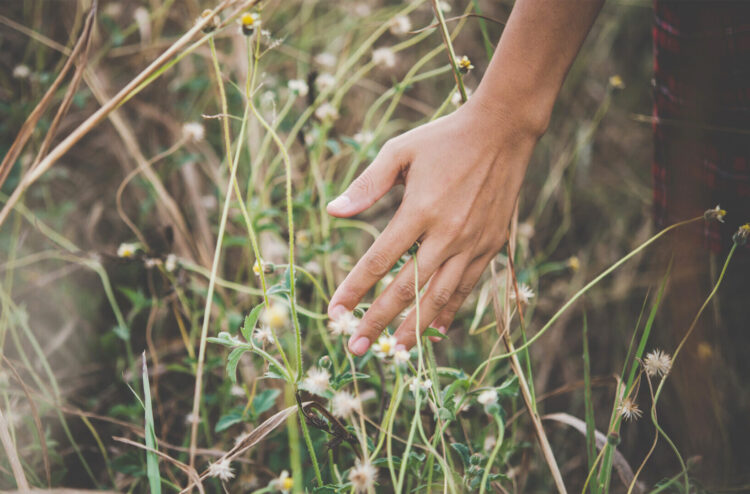 Dr. med. Nicola Westphal: metreet