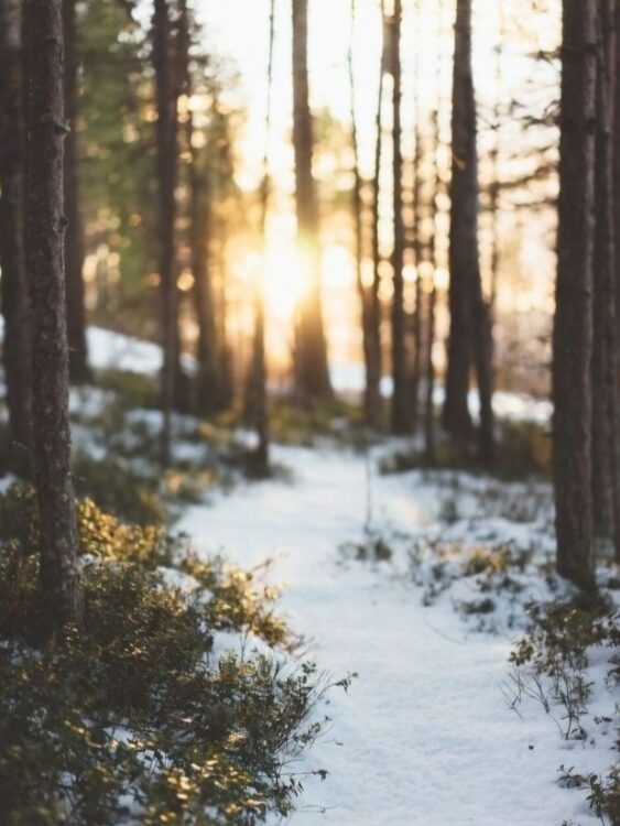 Dr. med. Nicola Westphal: metreet